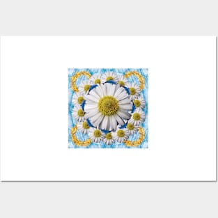 crazeed daisies Posters and Art